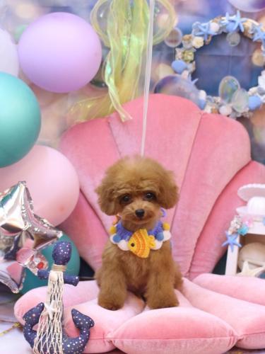 20240804ココアくん